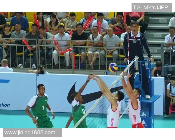 广州排球队个人能力深度对比与战术影响分析